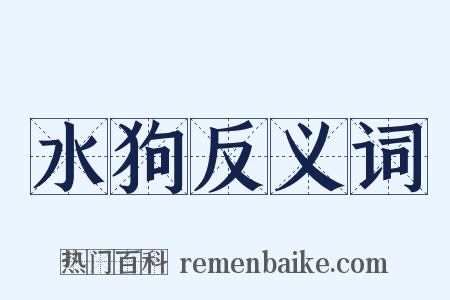 水狗反义词是什么意思的图片